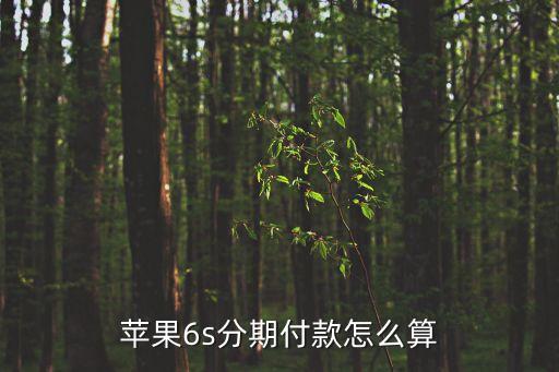 蘋果手機(jī)分期怎么查看，手機(jī)分期付款完沒怎么查