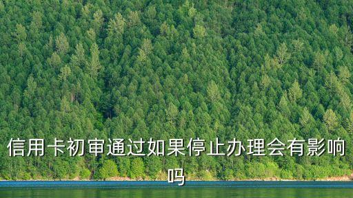 初審已過(guò)不去銀行辦會(huì)怎么樣，在網(wǎng)上辦理信用卡審核通過(guò)了只差去銀行提交資料了然后不去也不