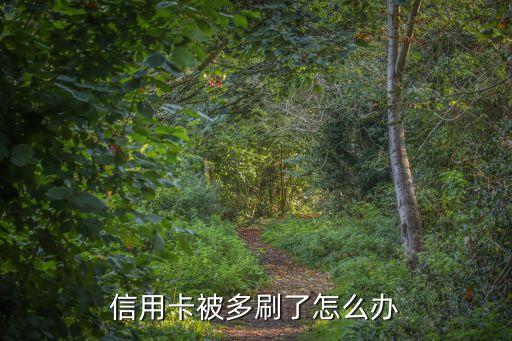信用卡被多刷了怎么辦