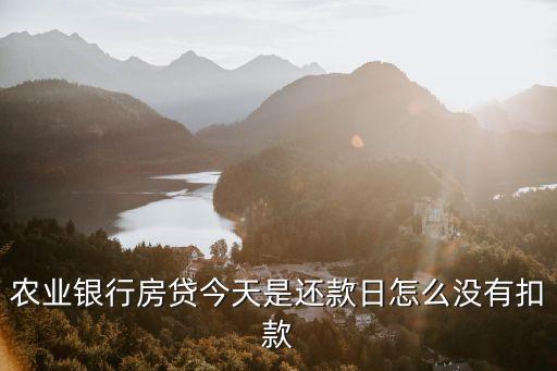 農(nóng)業(yè)銀行房貸今天是還款日怎么沒有扣款