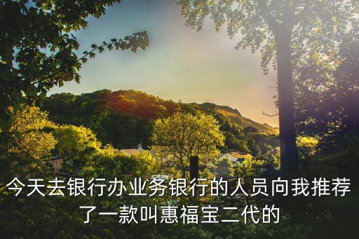 今天去銀行辦業(yè)務(wù)銀行的人員向我推薦了一款叫惠福寶二代的