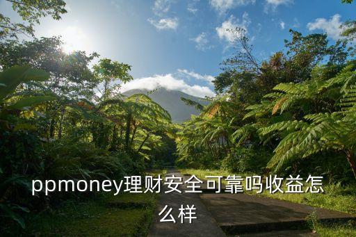 ppmoney理財安全可靠嗎收益怎么樣