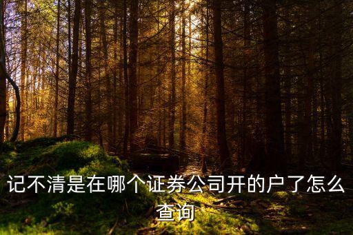 記不清是在哪個證券公司開的戶了怎么查詢
