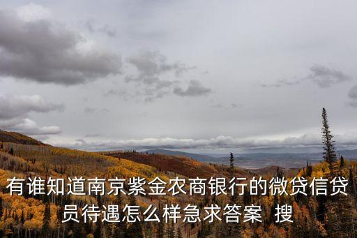 微貸網(wǎng)待遇怎么樣，你好我想請問下微貸業(yè)務(wù)員待遇如何