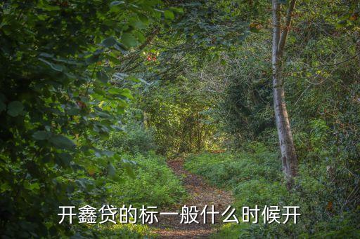 開鑫貸的標(biāo)一般什么時(shí)候開
