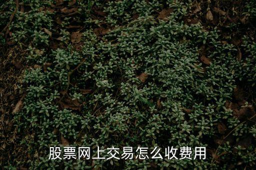 股票網(wǎng)上交易怎么收費(fèi)用