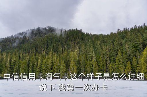 中信淘寶聯(lián)名卡淘氣版怎么樣，中信信用卡淘氣卡這個(gè)樣子是怎么詳細(xì)說下 我第一次辦卡