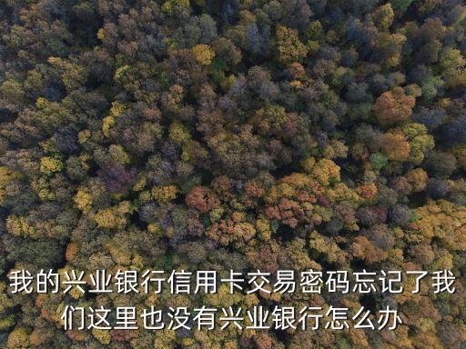 怎么查個人信用卡交易密碼，信用卡查詢密碼不知道