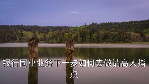 銀行同業(yè)業(yè)務(wù)下一步如何去做請(qǐng)高人指點(diǎn)