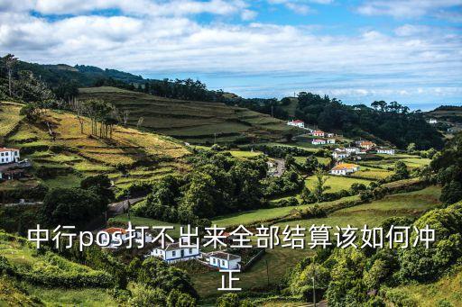 中行pos打不出來(lái)全部結(jié)算該如何沖正