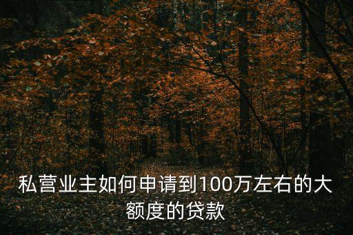私營(yíng)業(yè)主如何申請(qǐng)到100萬(wàn)左右的大額度的貸款