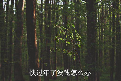 年底了教大家怎么有錢，快過年了沒錢怎么辦
