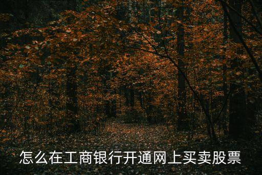 怎么在工商銀行開通網(wǎng)上買賣股票
