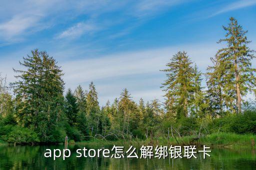 蘋(píng)果怎么解除綁定銀行卡，App Store怎么解綁銀行卡