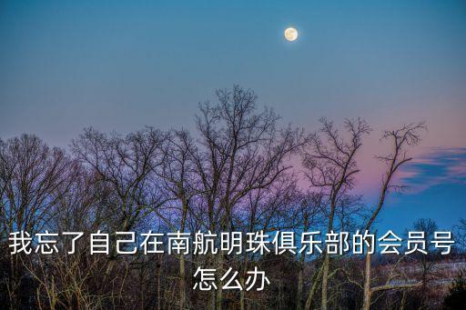 我忘了自己在南航明珠俱樂部的會(huì)員號(hào)怎么辦