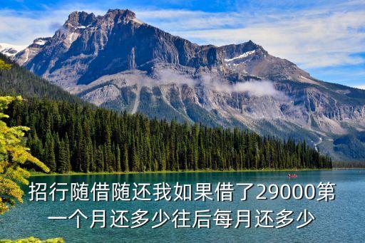 招行隨借隨還怎么還，招行隨借隨還的錢怎么還進去