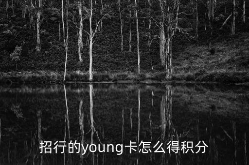 招行的young卡怎么得積分