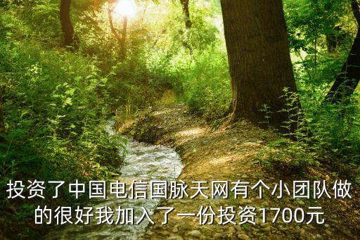 投資了中國(guó)電信國(guó)脈天網(wǎng)有個(gè)小團(tuán)隊(duì)做的很好我加入了一份投資1700元