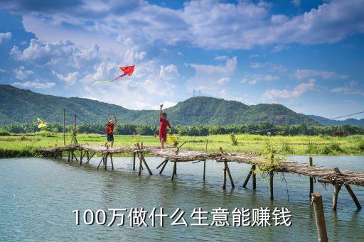 100萬(wàn)做什么生意能賺錢