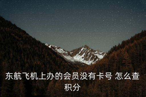 東航飛機上辦的會員沒有卡號 怎么查積分