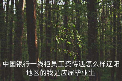 中國銀行一線柜員工資待遇怎么樣遼陽地區(qū)的我是應(yīng)屆畢業(yè)生