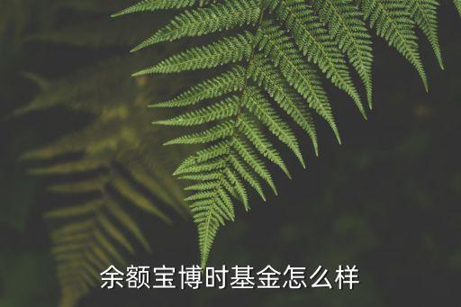 余額寶博時基金怎么樣