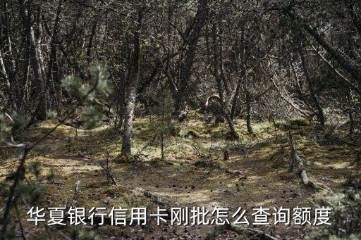 華夏銀行信用卡剛批怎么查詢額度