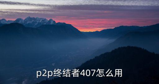 p2p終結(jié)者407怎么用