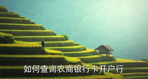 如何查詢農(nóng)商銀行卡開戶行