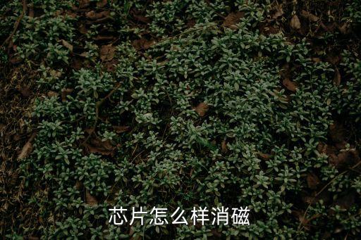 芯片怎么樣消磁