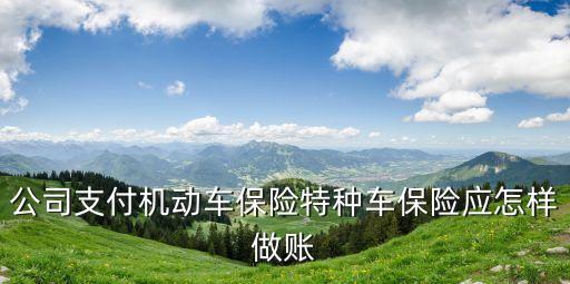 公司支付機動車保險特種車保險應怎樣做賬