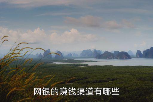 阿里網(wǎng)絡(luò)銀行怎么贏利，網(wǎng)銀的賺錢渠道有哪些