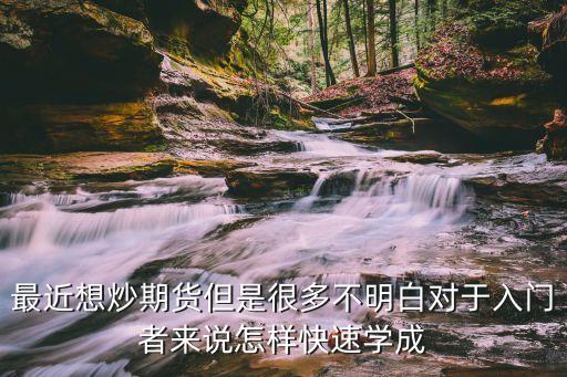 最近想炒期貨但是很多不明白對于入門者來說怎樣快速學(xué)成