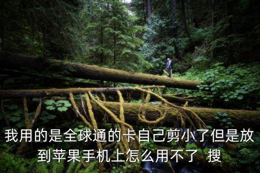 我用的是全球通的卡自己剪小了但是放到蘋果手機(jī)上怎么用不了  搜