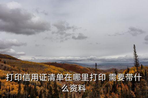 怎么打印個人信用證明，打印信用證清單在哪里打印 需要帶什么資料