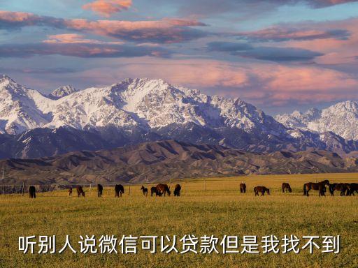 聽(tīng)別人說(shuō)微信可以貸款但是我找不到