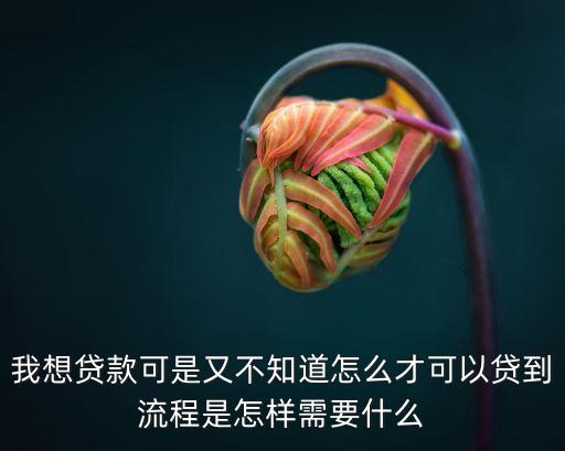 想借貸怎么，我想貸款怎么貸啊