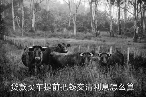 貸款買車提前把錢交清利息怎么算