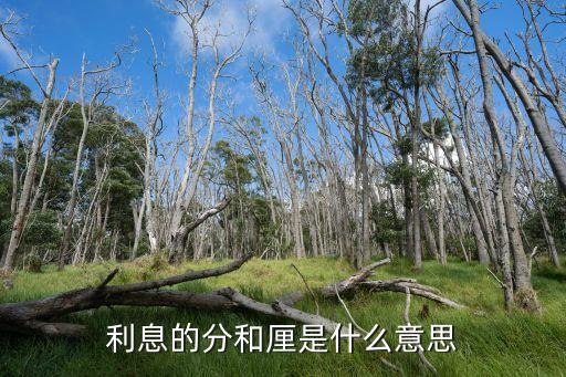 分和厘怎么區(qū)別，利息的分和厘是什么意思