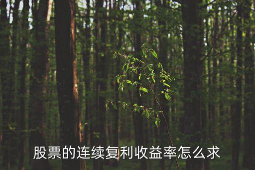 股票的連續(xù)復(fù)利收益率怎么求