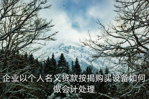 企業(yè)以個(gè)人名義貸款按揭購買設(shè)備如何做會(huì)計(jì)處理