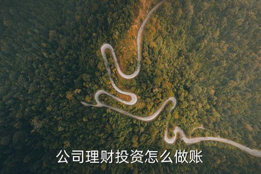 公司理財投資怎么做賬