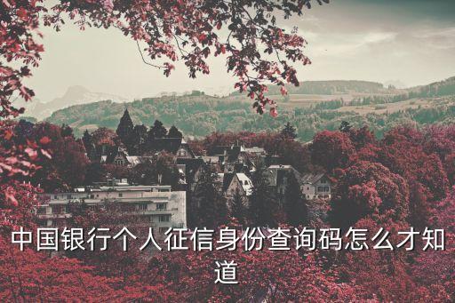 證信查詢碼怎么獲取，在信用錢包里征信查詢碼是從哪里獲取的