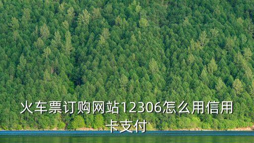 火車票訂購(gòu)網(wǎng)站12306怎么用信用卡支付