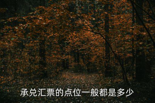 承兌匯票的點(diǎn)位一般都是多少