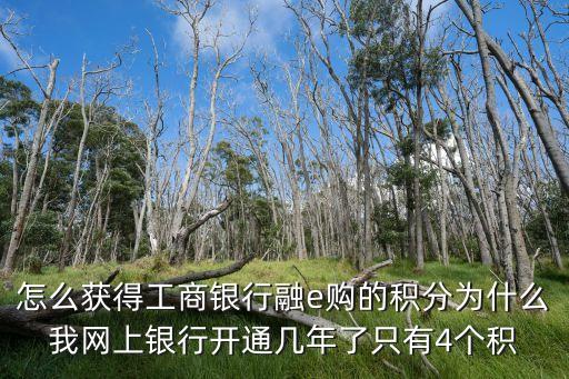 融e購(gòu)積分怎么來的，怎么獲得工商銀行融e購(gòu)的積分為什么我網(wǎng)上銀行開通幾年了只有4個(gè)積