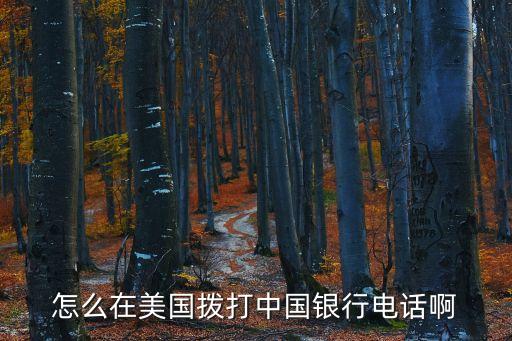 在國(guó)外怎么打國(guó)內(nèi)銀行電話，在美國(guó)怎么打中國(guó)銀行客戶(hù)服務(wù)熱線