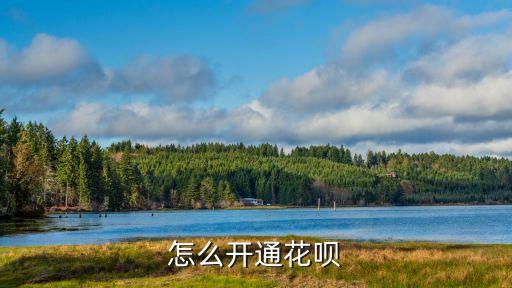 樂視花唄支付怎么開通，樂視商城怎用花唄支付求告訴