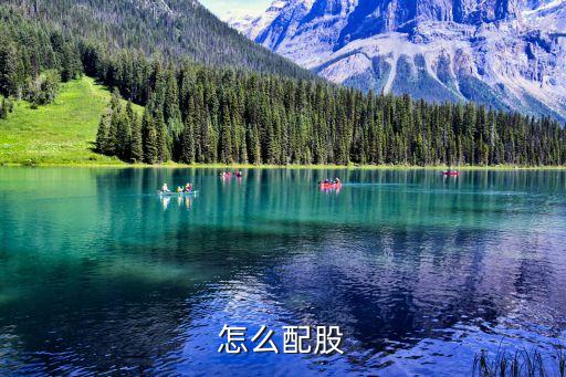 怎么配股