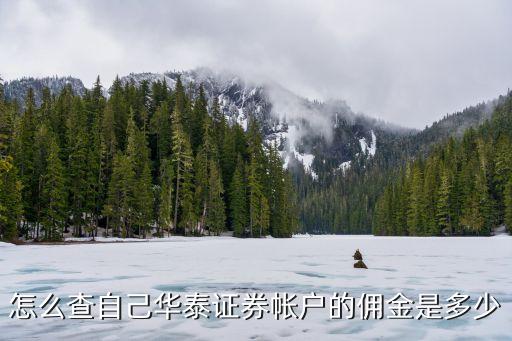 怎么查自己華泰證券帳戶的傭金是多少